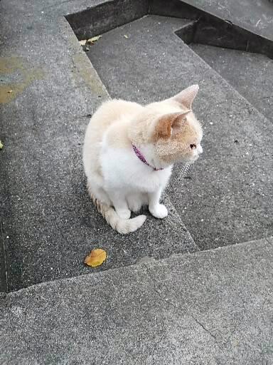 もえ