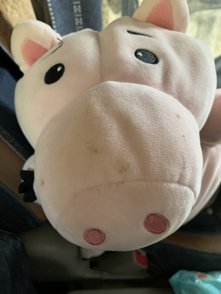 ミナミ