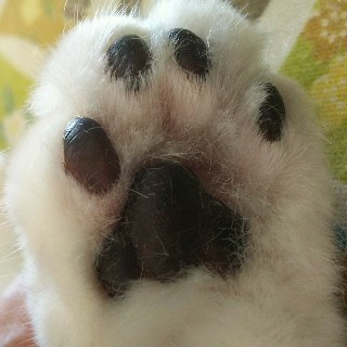 ユーザーアイコン