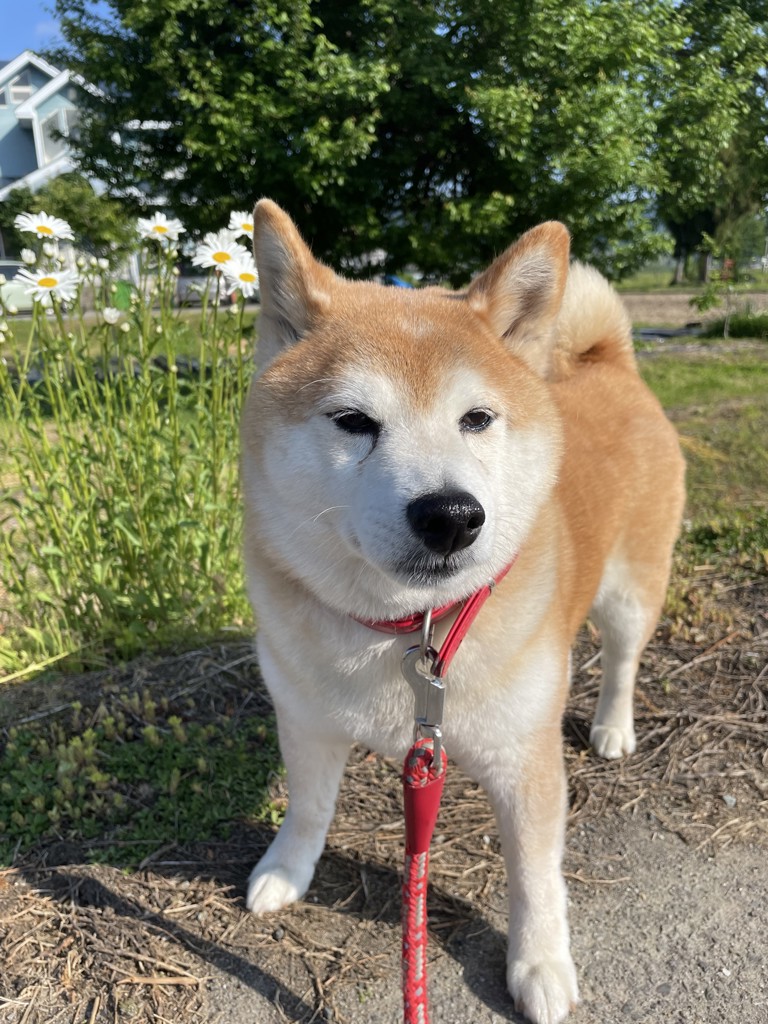 no name