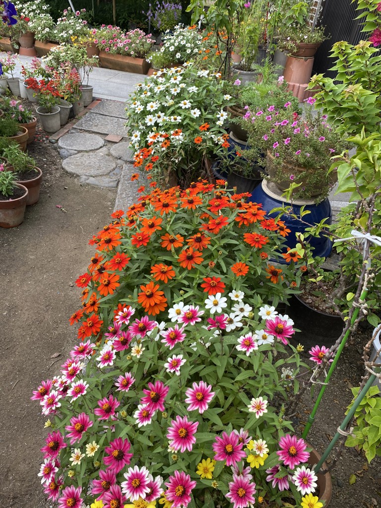 花の妖精