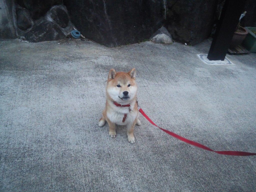komattachan