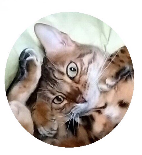 Bastet