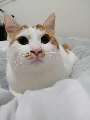 no name