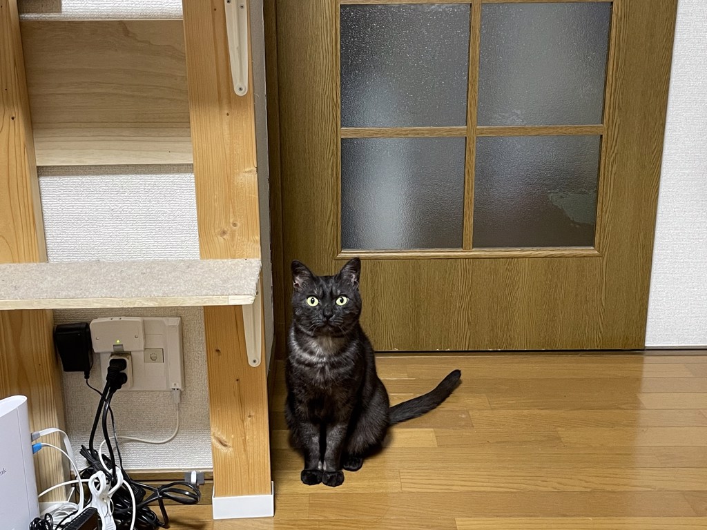 しお