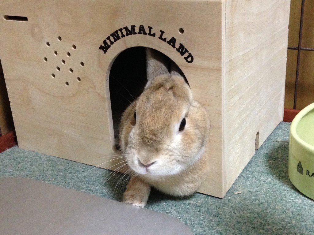 じゅんちゃん