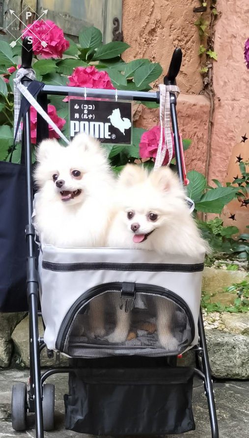 心&月
