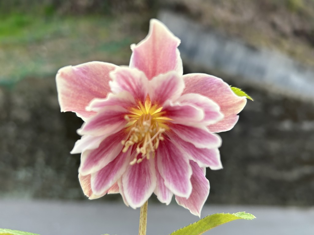 えて