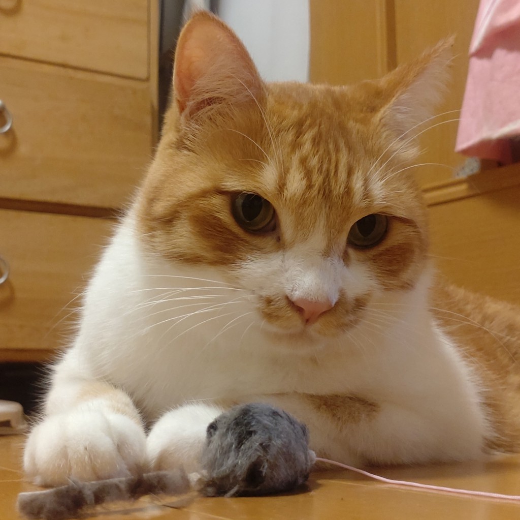 ホリデー ボディケアセット シュガープラムパッション｜ THE BODY SHOP