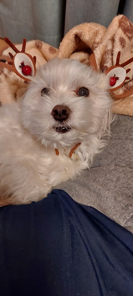 ユーザーアイコン