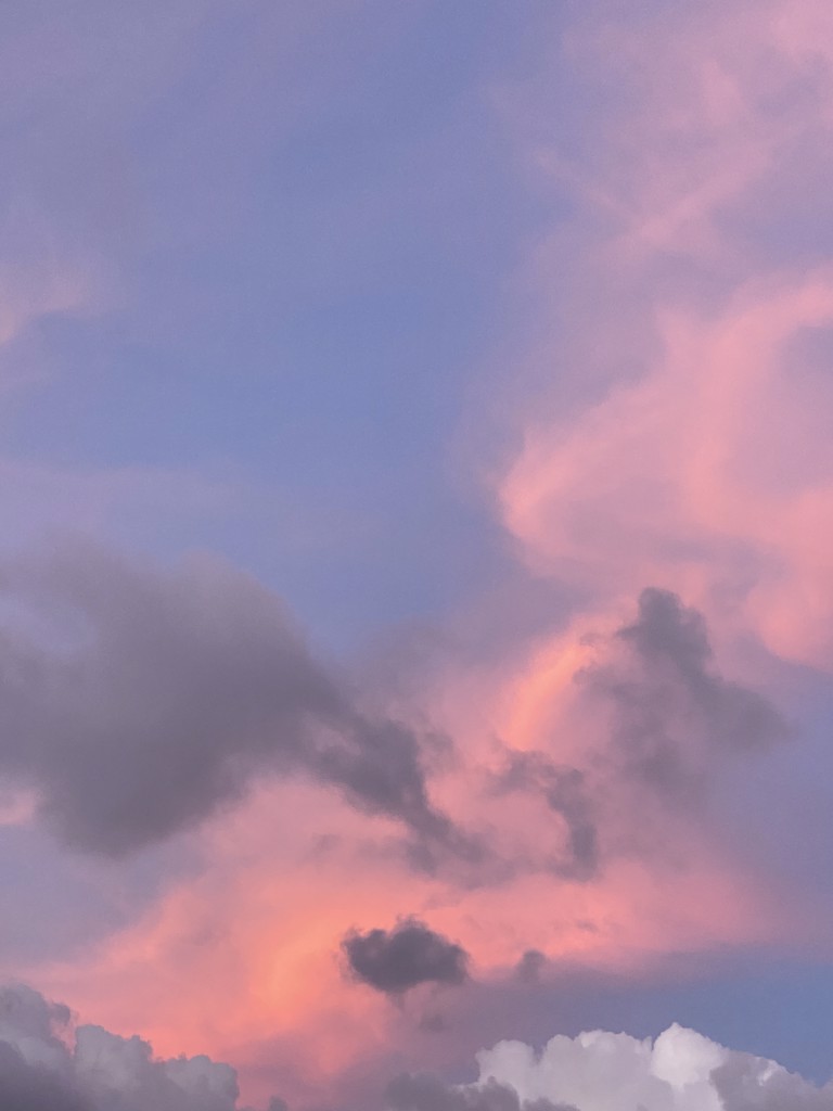 ゆん