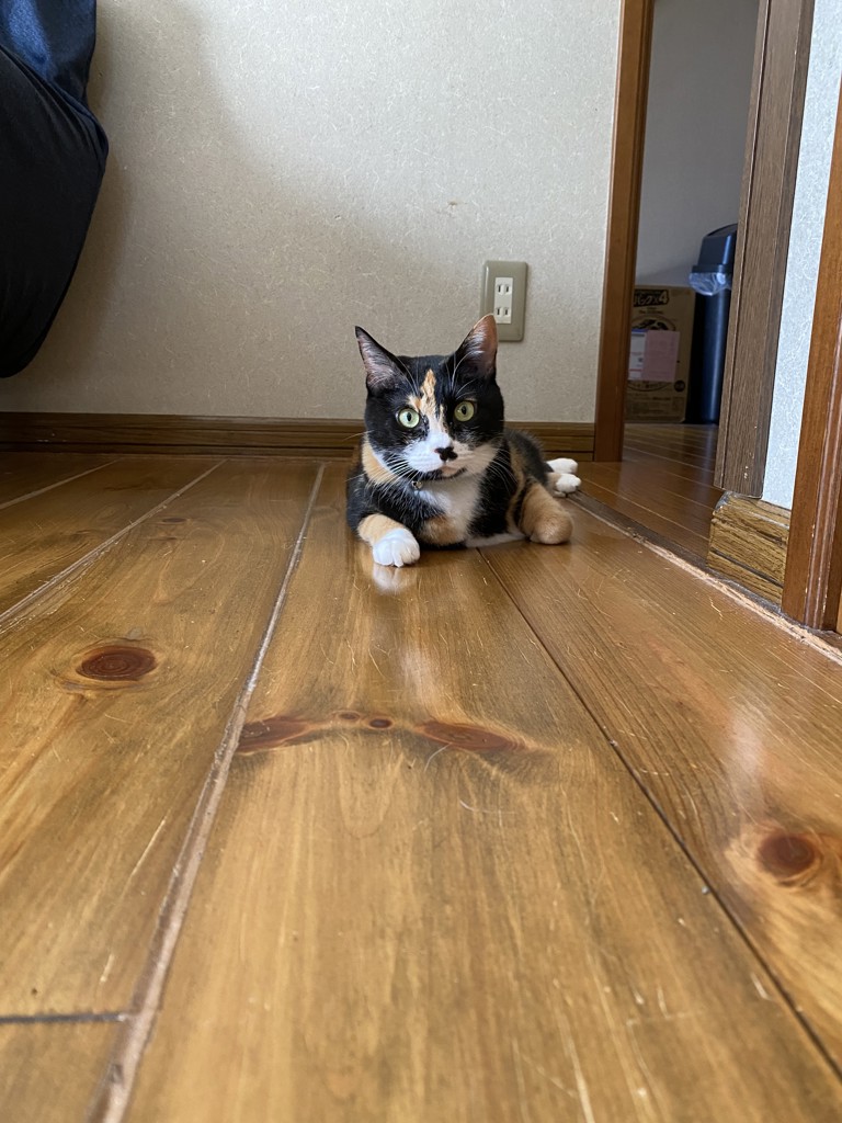 ちーまま