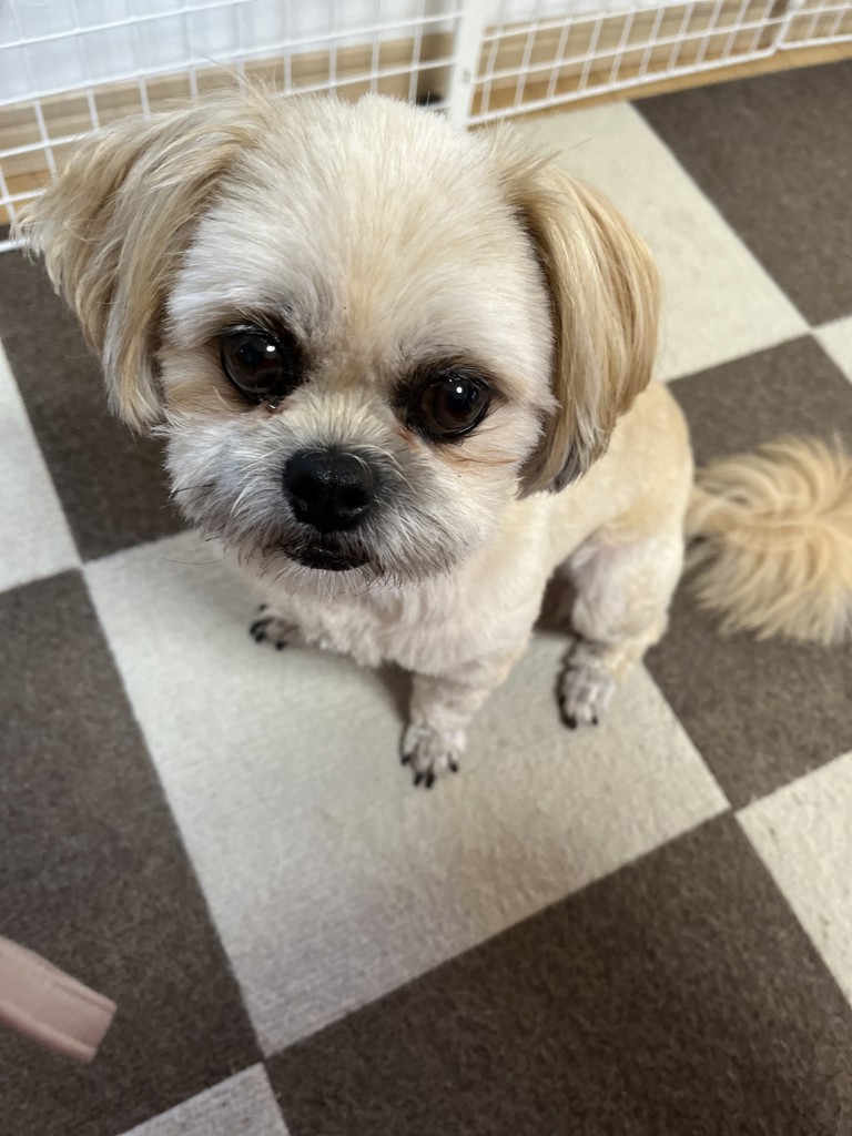 ユーザーアイコン