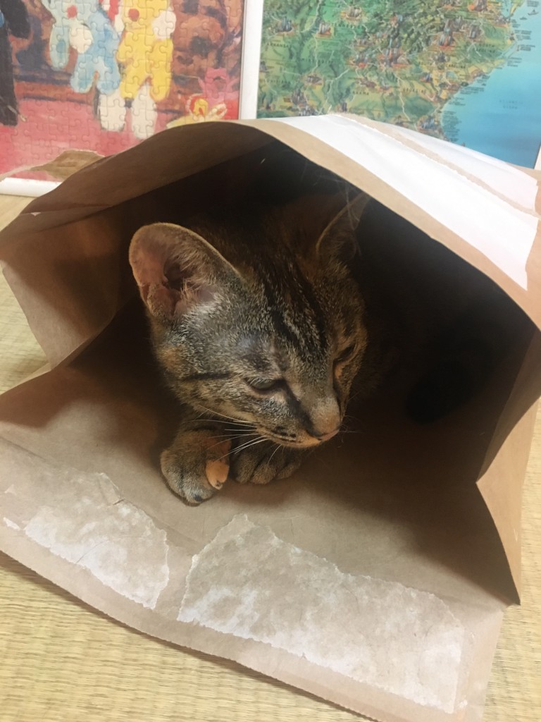 えりりん