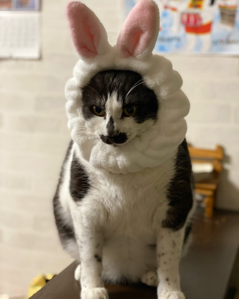 もーちゃん