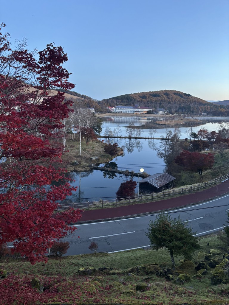 あいあいさー、