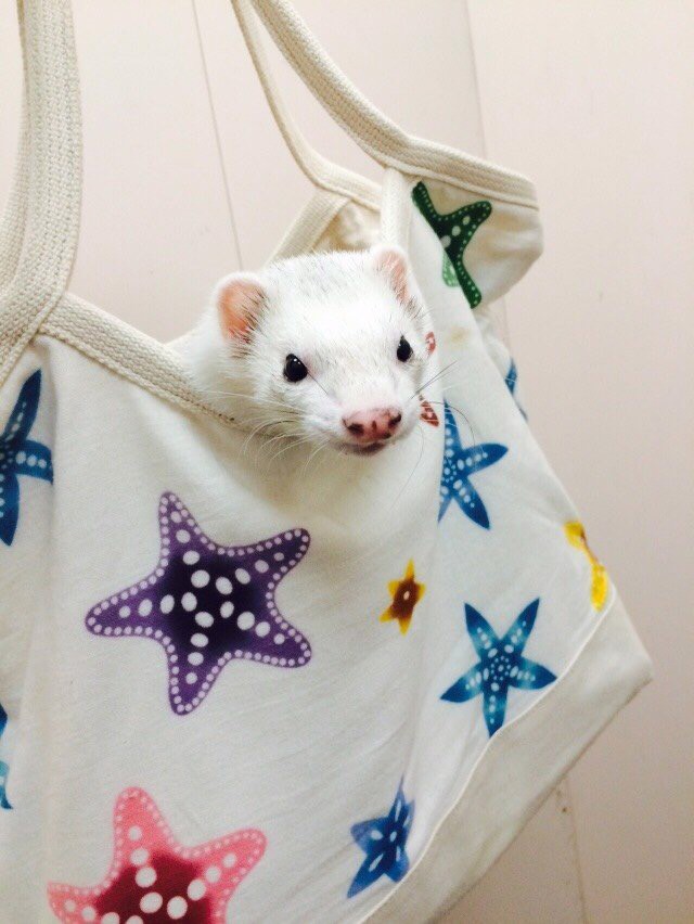 えり