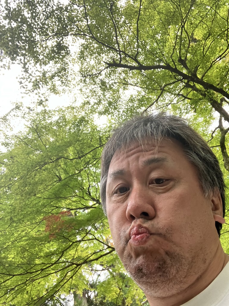 よちらー
