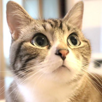 おーちゃん
