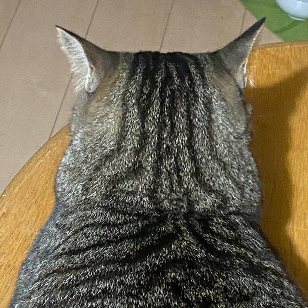 くーちゃん