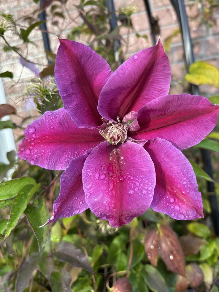 ユーザーアイコン