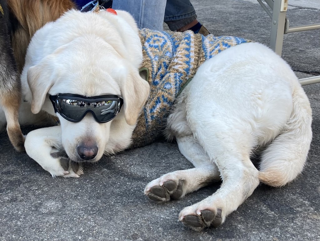 ユーザーアイコン