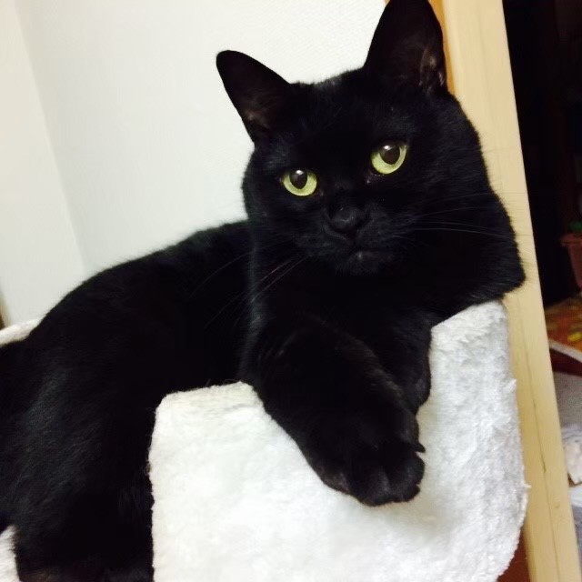 かえる