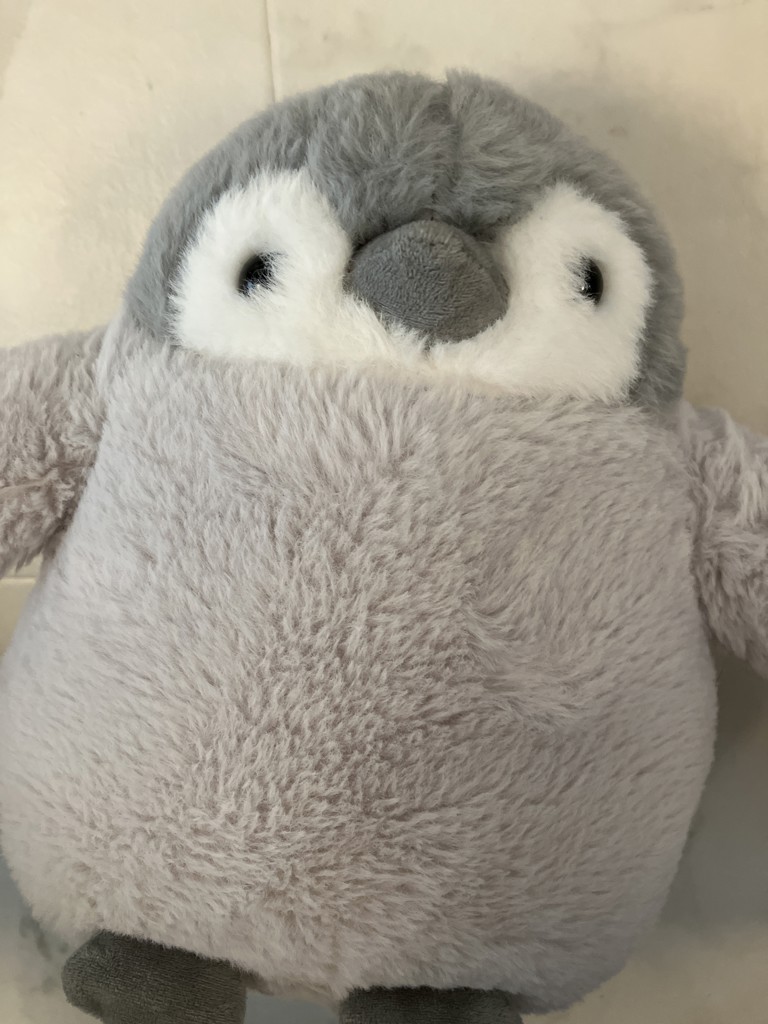 ひよこ