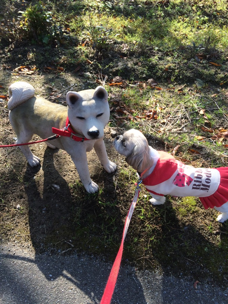 あけさん