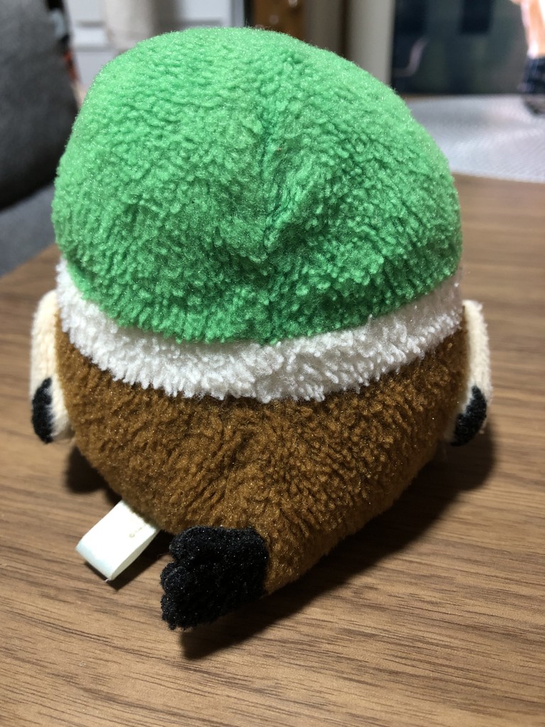 カモくん