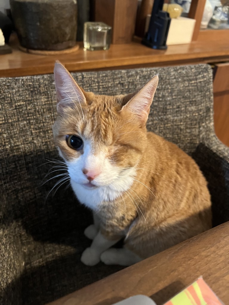 ユーザーアイコン