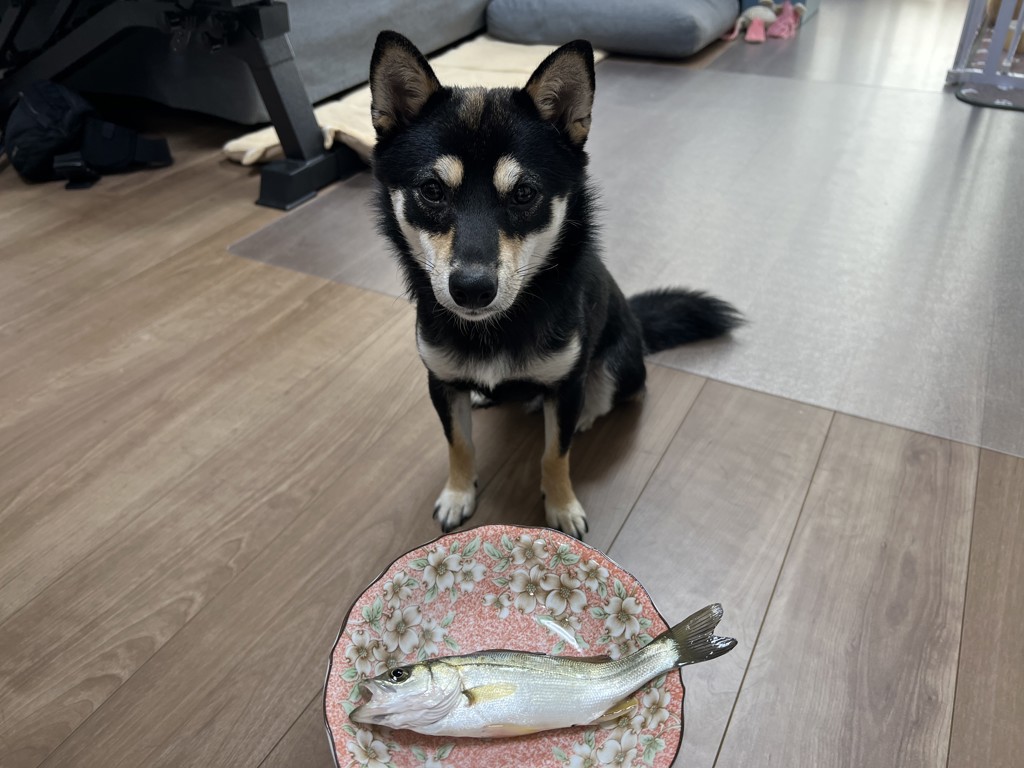 ちまき