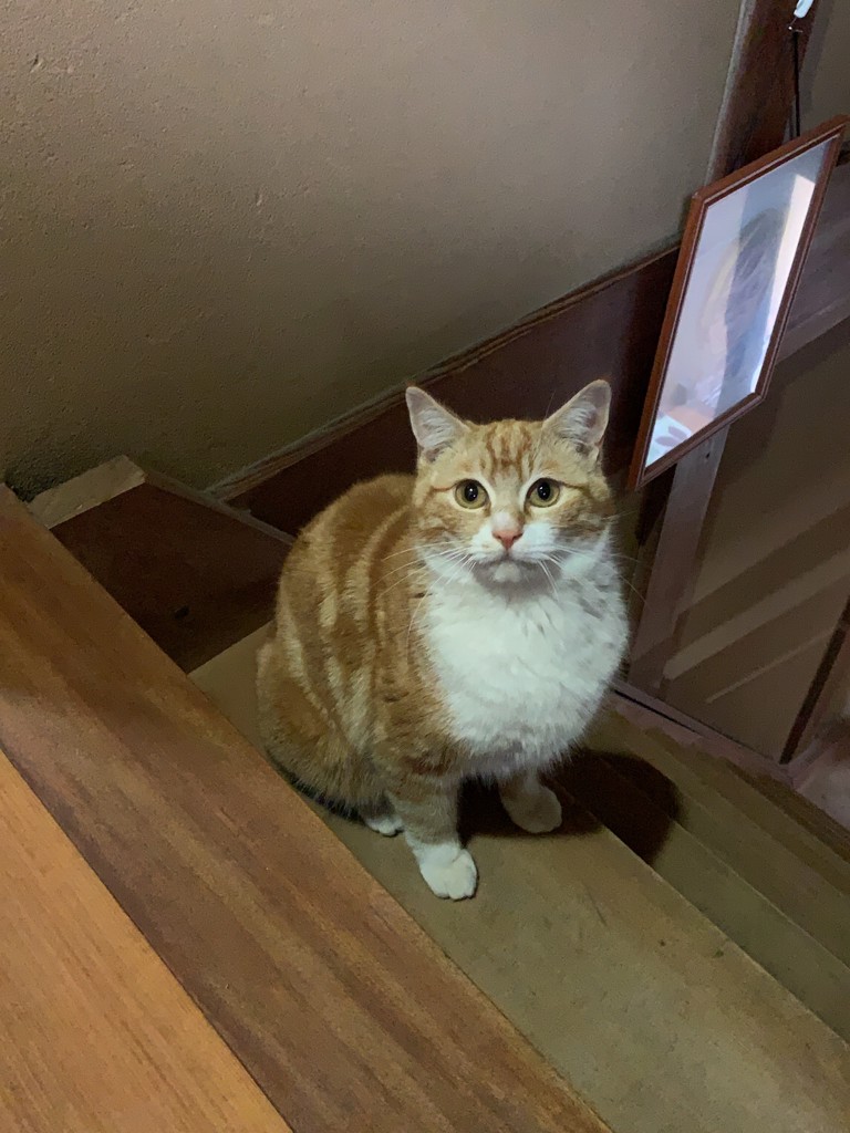 ジャムおばさん