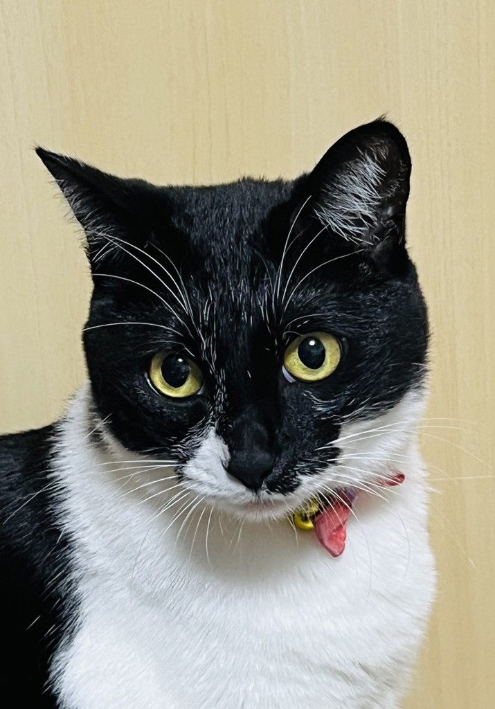 みき