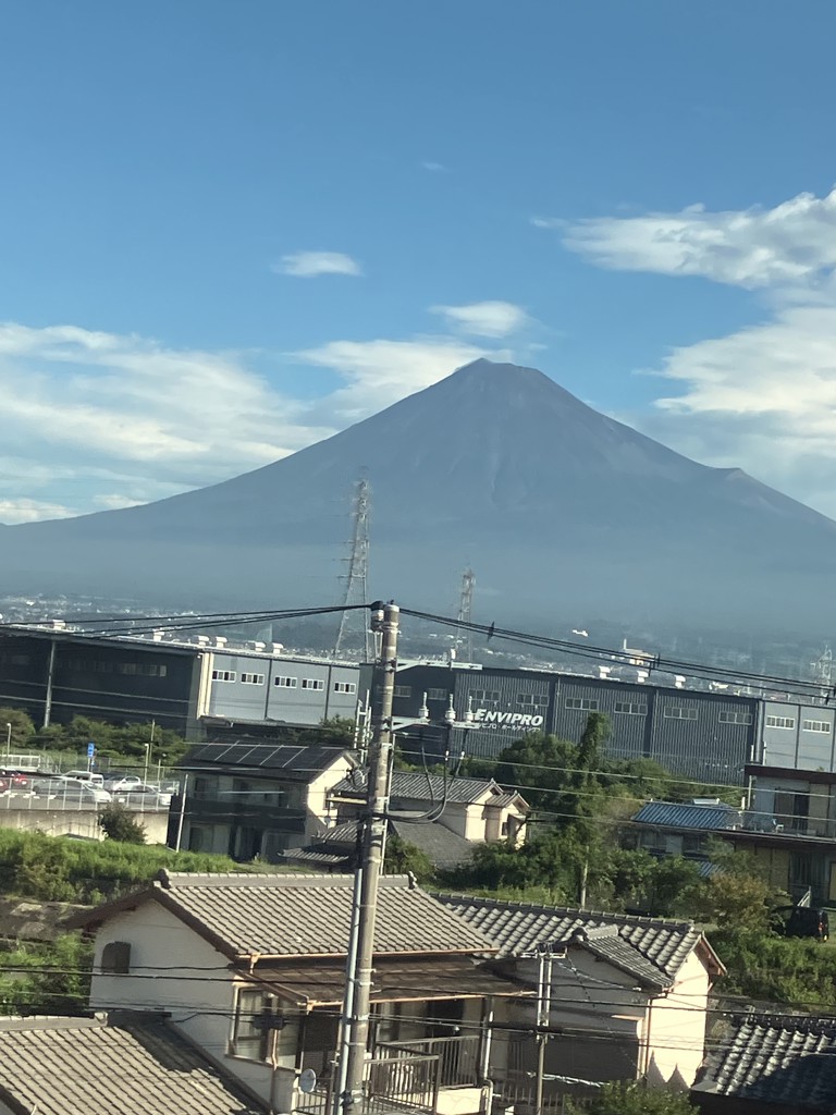 よっしー