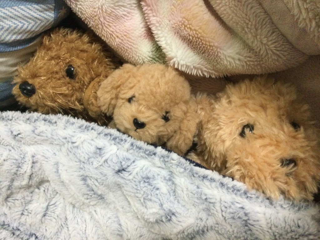 かっく