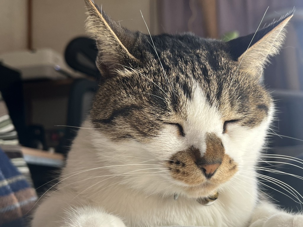no name