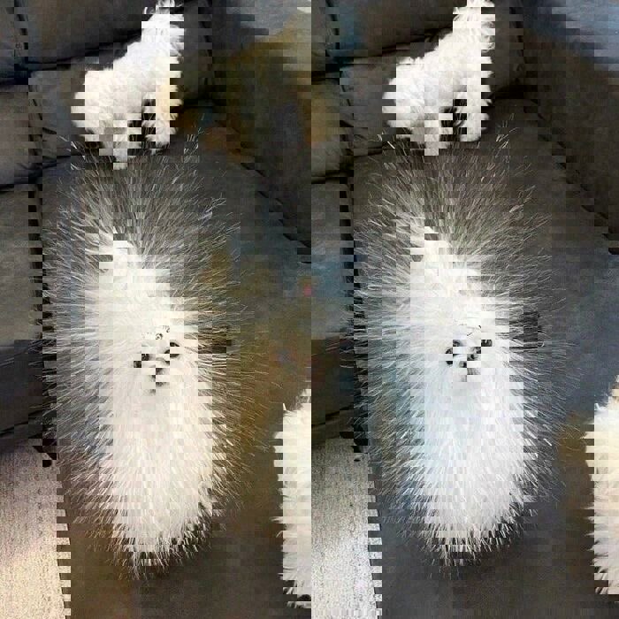 ぼのぼのぼの