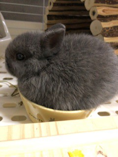 ユーザーアイコン