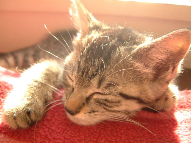 no name