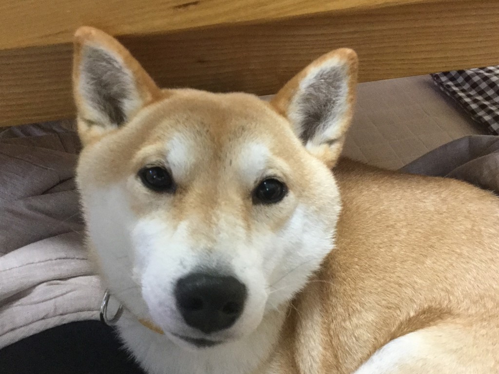 ちーちゃん