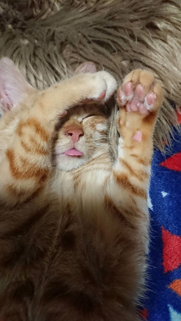 はる