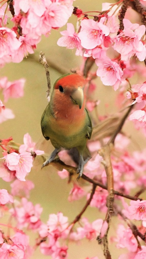 ヒロっち