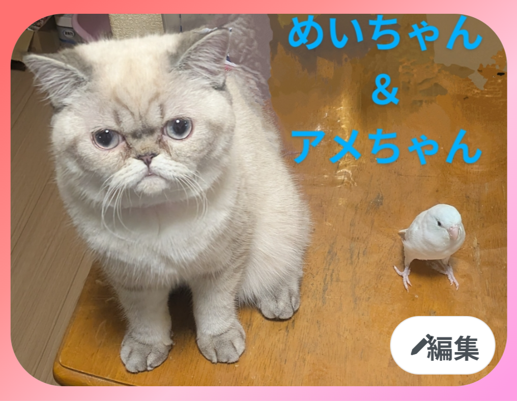 タダぇもん