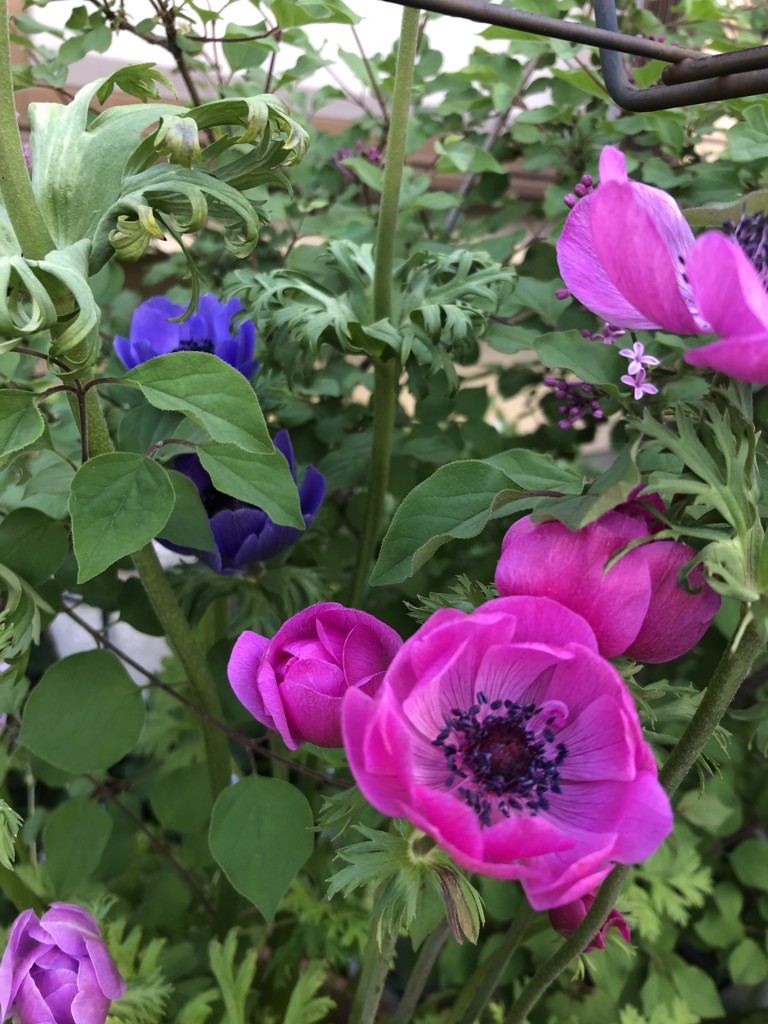 ユーザーアイコン