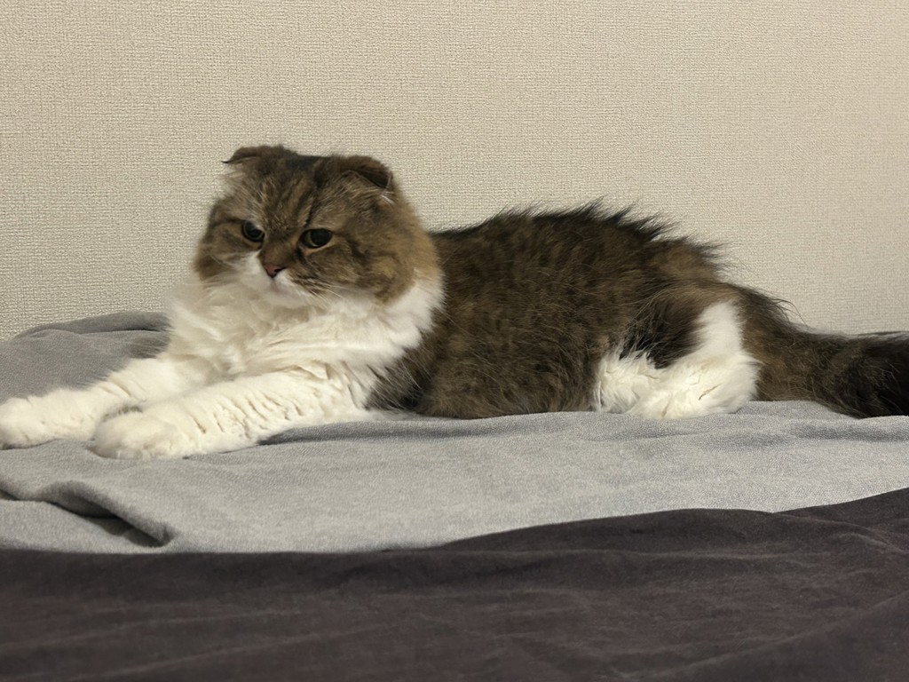 ユーザーアイコン