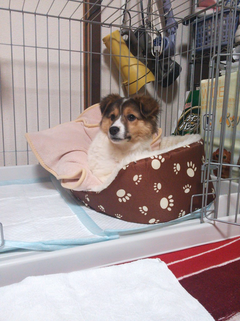 たぁぼう