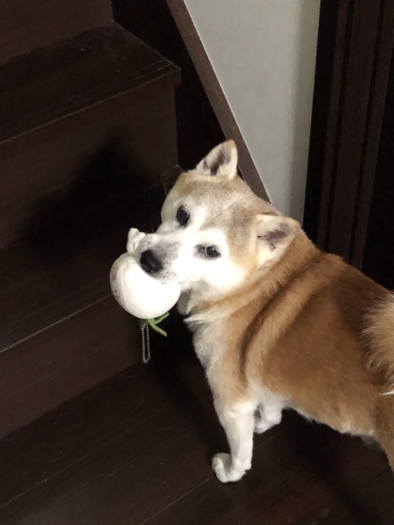 ナロリ