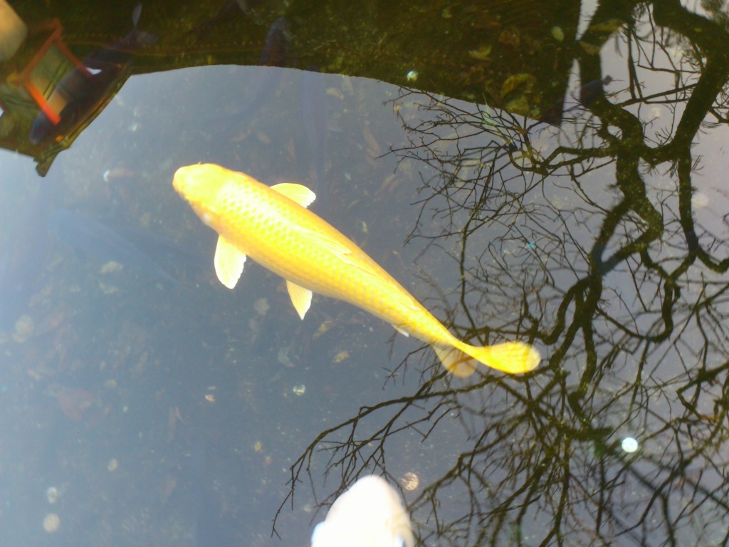 ちぃ