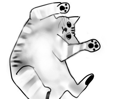 ラー